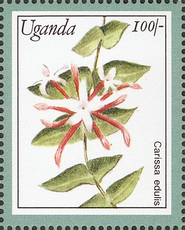 Уганда - Uganda (1991)