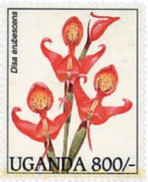 Uganda 1995