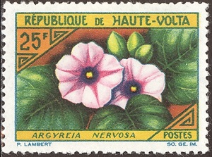 Volta 1963