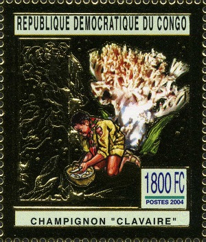 DRC 2004