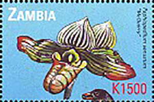 Zambia 2000