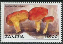 Zambia 1998