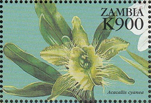 Замбия - Zambia 1998