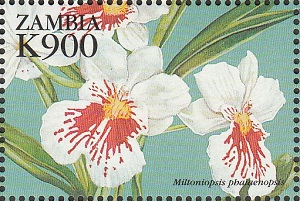 Zambia 1998