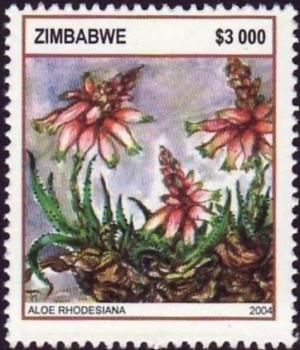 Zimbabe 2004