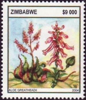 Zimbabwe 2004