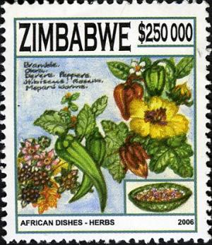Zimbabwe 2006