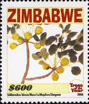 Zimbabwe 2006