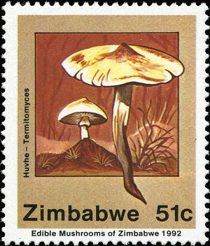 Зимбабве - Zimbabwe (1992)