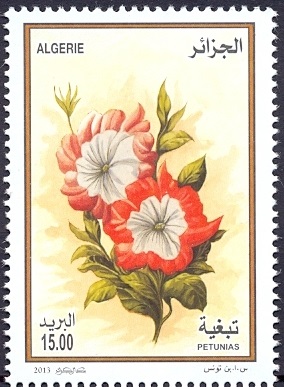 Алжир - Algeria (2013)