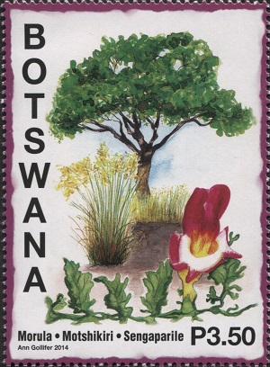 Ботсвана - Botswana 2014
