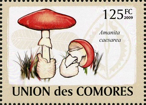 Comores 2009