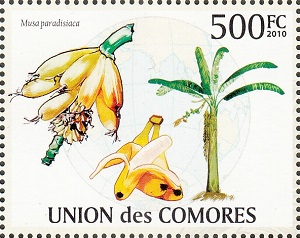 Comores 2010