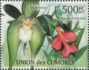 Comores 2011