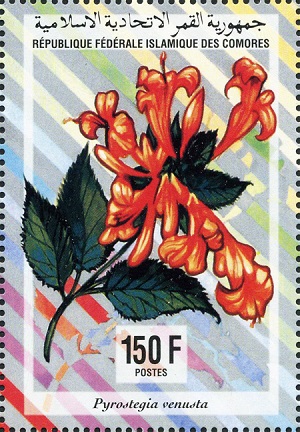 Comores 1994