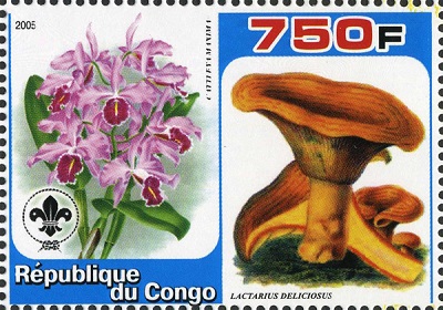 Конго - Congo (2005)