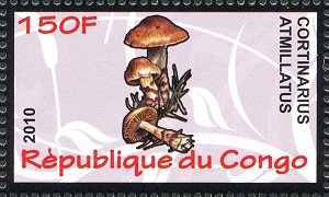 Конго - Congo (2010)