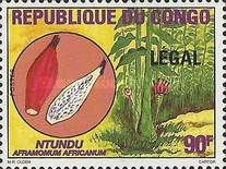 Конго - Congo 1998