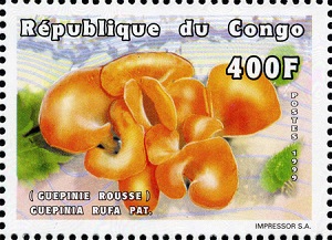 Конго - Congo 1999