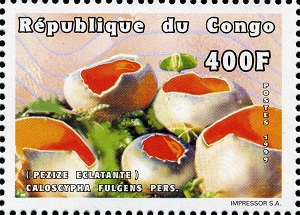 Конго - Congo (1999)
