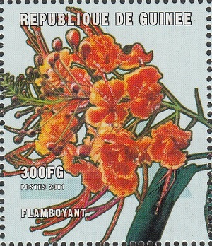 Guinea 2001