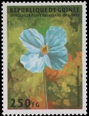 Гвинея - Guinea (1995)