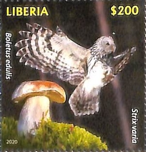 Liberia 2020