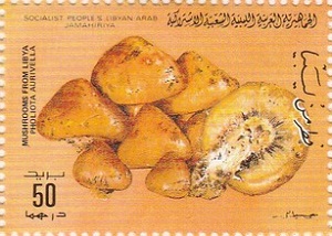 Libya 1985