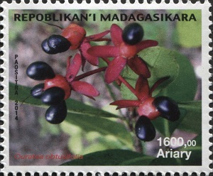 Madagascar 2015