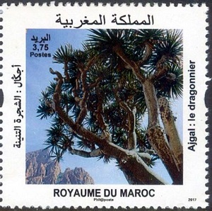 Марокко - Morocco (2017)