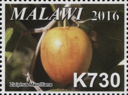 Малави - Malawi 2016