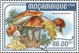 Moambique 2018