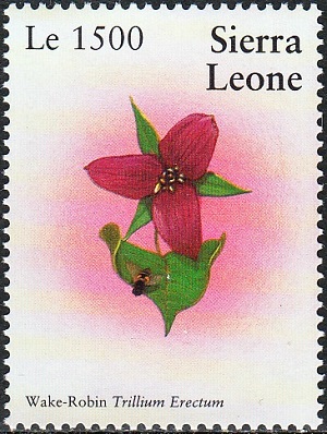 Сьерра-Леоне - Sierra Leone (2002)