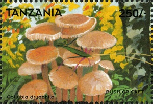 Танзания - Tanzania (1998)
