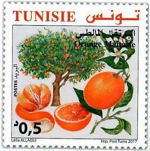 Tunisia 2017