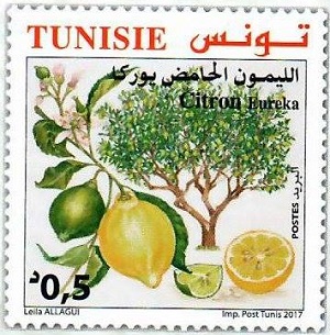 Tunisia 2017