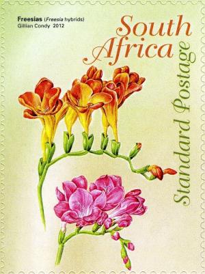 ЮАР - South Africa 2012
