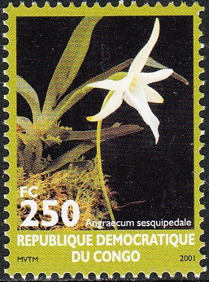 DRC 2002