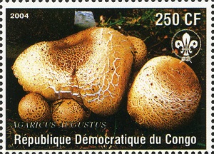 DRC 2004