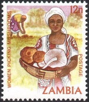 Замбия - Zambia (1983)