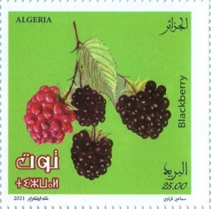 Алжир - Algeria (Rubus sp. - 2021)