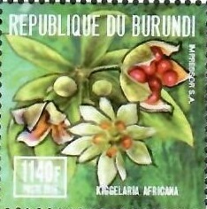 Бурунди - Burundi (2016)