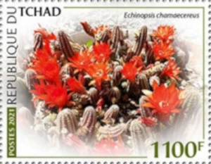 Чад - Chad (2021) 