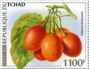 Чад - Chad (2021)