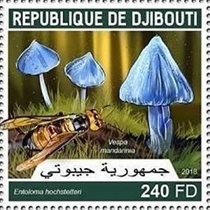 Djibouti 2018