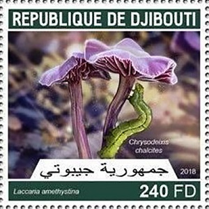 Djibouti 2018