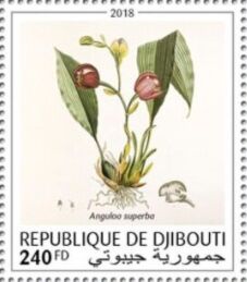 Джибути - Djibouti (2018)