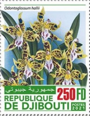 Джибути - Djibouti (2021)