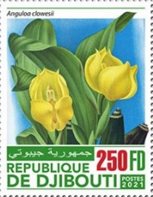 Джибути - Djibouti (2021)