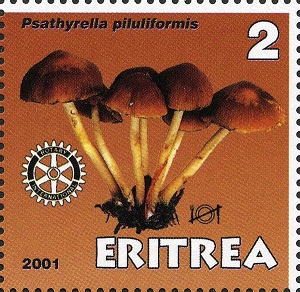 Eritrea 2001